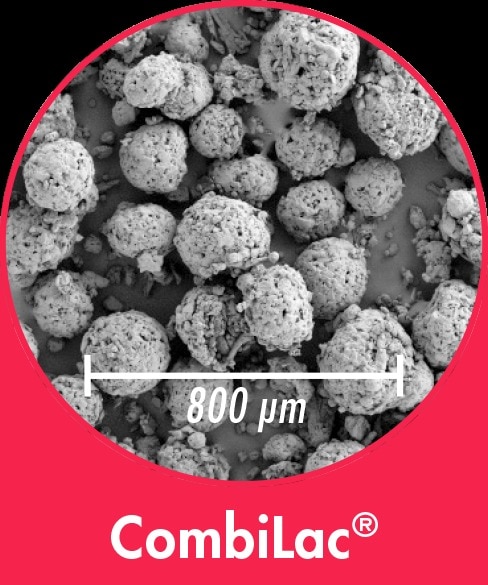 Buy high quality COMBILAC Meggle Excipients make lactose brand manufacturer, supplier, importer, dealer, distributor, trader, exporter that is used in  pharma chemicals,  active pharmaceutical ingredients, Pharma excipients & additives, contract manufacturing, Pharma industry available at best price. 