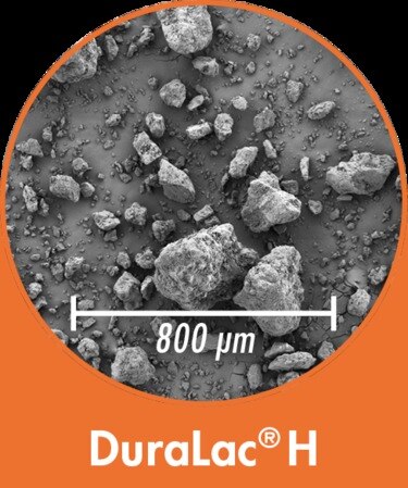 Buy high quality DURALAC H Meggle Excipients make lactose brand manufacturer, supplier, importer, dealer, distributor, trader, exporter that is used in  pharma chemicals,  active pharmaceutical ingredients, Pharma excipients & additives, contract manufacturing, Pharma industry available at best price. 