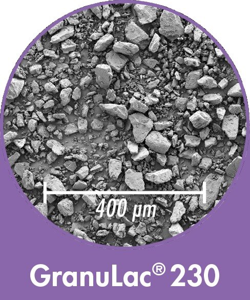 Buy high quality GRANULAC - SORBOLAC Meggle Excipients make lactose brand manufacturer, supplier, importer, dealer, distributor, trader, exporter that is used in  pharma chemicals,  active pharmaceutical ingredients, Pharma excipients & additives, contract manufacturing, Pharma industry available at best price. 