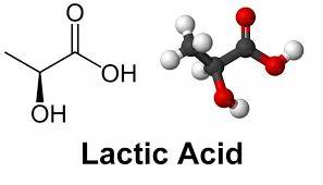Lactic Acid Powder
