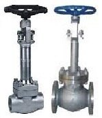 Cryogenic Globe Valve