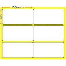 50X25