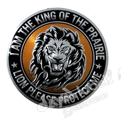 Custom  Metal Stickers