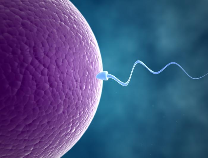 Infertility Treatment service image