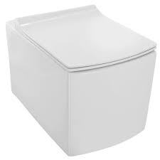 It is a rimless , blind installation wall hung with UF soft close slim seat cover , Hinges and it have load bearing capacity of over 150 kg seat cover .