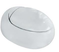 Wall Hung WC with PP soft cover , Hinges , Accessories Set and its shape and texture of the seats unaffected by temprature variations .