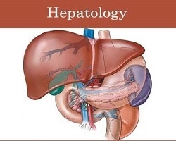 HepatologyThe liver has an im