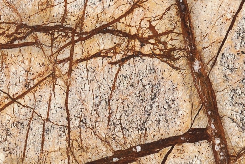 Rainforest Brown Marble or popularly known as Bidasar Brown Marble has taken a niche space across warehouse and across globe. This Marble has a very typical texture and looks exceptionally great in one's eye. This is available both in Polished as well as Brushed finish and also both in 2 cm as well as 3 cm thickness. This Marble is in demand both in domestic as well as international markets including Europe, Middle East Markets as well as US. Details as below: Nature: Marble Origin: Churu, IndiaColor and Texture: Brown Base with dark brown as well as green lines moving across pattern. Availability: Slabs, Tiles & BlocksFinished: Polished & BrushedSizes: As per order