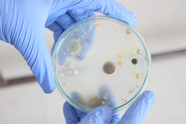 We provide an end-to-end solution in microbiology