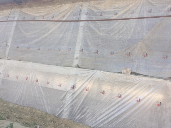 SIGMA Poultry Curtains assure high quality Poultry Farm Management by providing ultimate waterproofing and airproofing to the farm.Sigma Poultry Curtains are long life, quality efficient and cost effective. Compared to other poultry curtains, Sigma curtains provide upto double life duration.We Deliver Poultry Curtains, Polyhouse fabrics, Shade nets, Tarpaulin Across India like Kolkata, Bangalore, Hyderabad, Telangana, Ahmedabad, Pune, Vadodara, Surat, Ranchi, Bokaro, Jamshedpur, Jaipur, Udaipur, Alwar, Bikaner, Durgapur, Burdwan and other citiesDescription about this productSize- 12Ft x 130FtQuantity- 1 pieceColour- Natural (Transparent)Thickness- 120 GSMDispatch by- Within 1 week of order placement