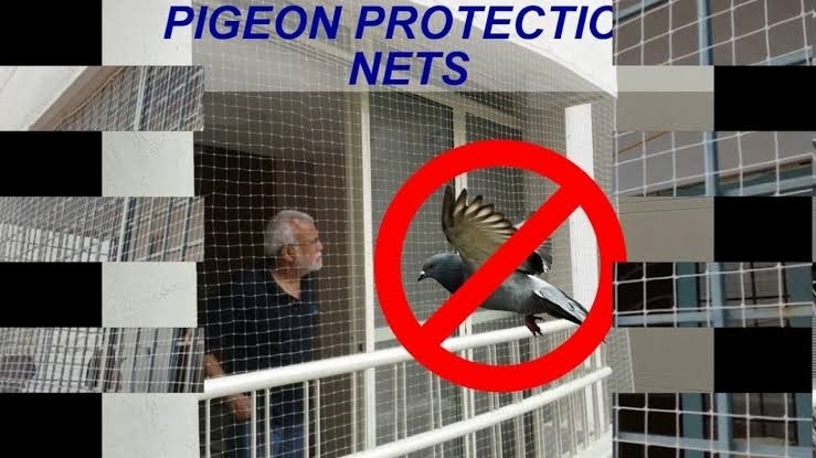 Pigeon net fixing jobs
