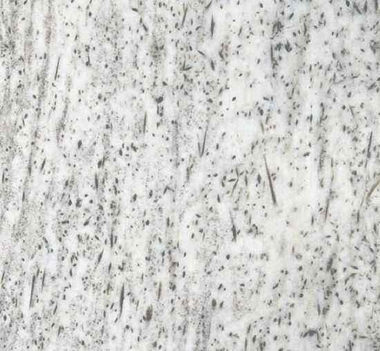 Panther MarblePanther Marble is a kind of white marble quarried in India. This stone is especially good for Countertops, monuments, mosaic, exterior - interior wall and floor applications, fountains, pool and and other design projects. It also called Andhi Panther Marble, Panther White Marble . Panther Marble can be processed into Polished, Sawn Cut, Sanded, Rockfaced, Sandblasted, Tumbled and so on.₹ 0.00Data on Panther Marble Name: Panther MarbleCatalog:Marble Color: WhiteRecommended Usage: Countertops, monuments, mosaic, exterior - interior wall and floor applications, fountains, pool andFinishing Surface: Polished, Sawn Cut, Sanded, Rockfaced, Sandblasted, TumbledAdditional Names: Andhi Panther Marble,Panther White Marble