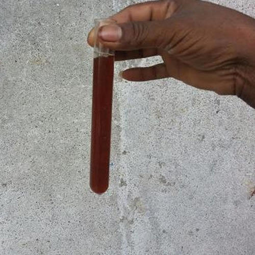 Sodium pentachlorophenate is a white or tan, powdered solid. It is soluble in water and may burn, but it is not easily ignited. It may be toxic by ingestion, inhalation and skin absorption. It is used as a fungicide, herbicide and as a disinfectant.