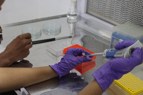 We provide an qPCR Service digital