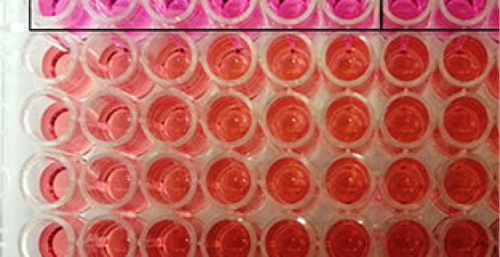We provide an Toxicology Laboratory Testing Services.