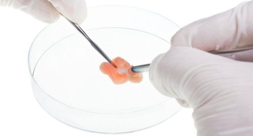 We provide an Animal Cell Culture lab services.