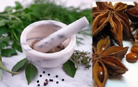 We provide an Analysis of herbal metabolites.
