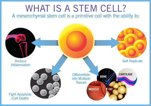 Stem Cell Treatment product image