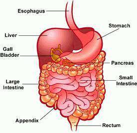Piles ; Fissure and Fistula No