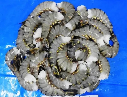 HEADLESS BLACK TIGER PRAWNS & SHRIMPS product image