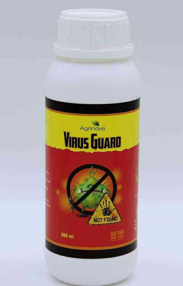 Composition : Organic Virucide
Dosage : 3.5ml/ Liter of Water,
Advantage :
· Virus Guard is first effective Anti-Virus Product in the world to protect crops from
all type of virus disease.
· It is broad spectrum Organic virucides which protect the plant from virus and also
improve resistance against them.
· It is combination of rare herbs which stop virus immediately and give fresh growth
and yield.
Mode of Action: Virus Guard enters the plant through the stomatal opening and is translocate into
the plants system through the vascular bundles.
· Virus Guard on entering the effected plant cell encapsulatesr the viron particles.
· Virus Guard opens up the conductive tissues blocked by the Virus Particles and the
plant cells start to recover & new leaves emerges Virus free. It is effective up to 15
days after application.
Crop : It can be use in crops like Paddy, Potato, Groundnuts, Cotton, Sugarcane,
tobacco, Onion, Tomato, Turmeric, Chilly, Garlic, Ginger, Cumin seeds, Soya been,
wheat others vegetables as well as in Gardening, Flowering and fruits and trees.
Packing : 50ml, 100ml, 250ml, 500ml, 1Ltr