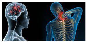 Neurosurgery, which 