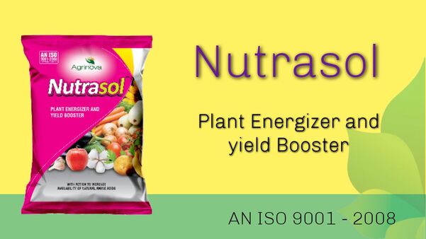 NutrasolComposition : Potassium Humate 5%, Sargassam Sp. Extracts 5%, Aromatic NitrogenIngredients 15%, Encapsulating Agents 4%.Dosage : Mix 2-3 Kg Nutrasol Granules with the required quantity of organic manure/sandand broadcast in one Acres crop land uniformly.Advantage : Nutrasol is ready to use type of biotechnological research products in Granulesfrom containing highly enriched growth promoting ingredient for the soilapplication it is a plant energizer and yield booster.· It helps to enhance over all Bio-Physiological functions and nourishes in entireplant system by acting as fertilizer which lead to develop plant canopy, inducesprofuse flowering develop entire root system to improve nutrients up –take ratioand finally work as growth booster and plant energizer and thereby increase yieldwith significantly best quality.· The Granules are especially treated a seaweed extracts and potassium hamatealong with ingredients to supply Amino Acids to plant system.Crops : It Can be use in Paddy, Potato, Groundnut, Cotton, Sugarcane, Onion, Tabaco,Tomato, Turmeric, chilly, Ginger, Garlic, cumin seeds, Black- mustard, Soya- been ,Wheat etc. crop , Vegetable, Gardening flower trees and other Fruits.Packing : 1kg, 25kg