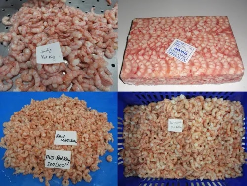 PUD Red Ring Prawns & Shrimps product image
