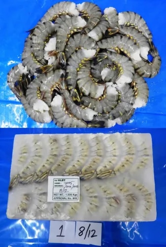 HEADLESS BLACK TIGER PRAWNS & SHRIMPS product image