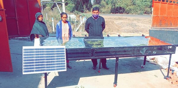 10ft X 3ft inclined structure with High quality S.S 304POWDER COATED Sheet with 12 nos ALLUMINIUMPERFORATED tray. Size 16” x 32” black coated as shown in pic.Capacity per tray 3 to 4 kg,with castor wheel FOR EASY MOVEMENT. 3nos of fan (4”) and solar panel 30 watt for moisture removal, Top CoverUV filter Poly Carbonate Sheet Unbreakable electric backup heater 2 kwwith control circuit,