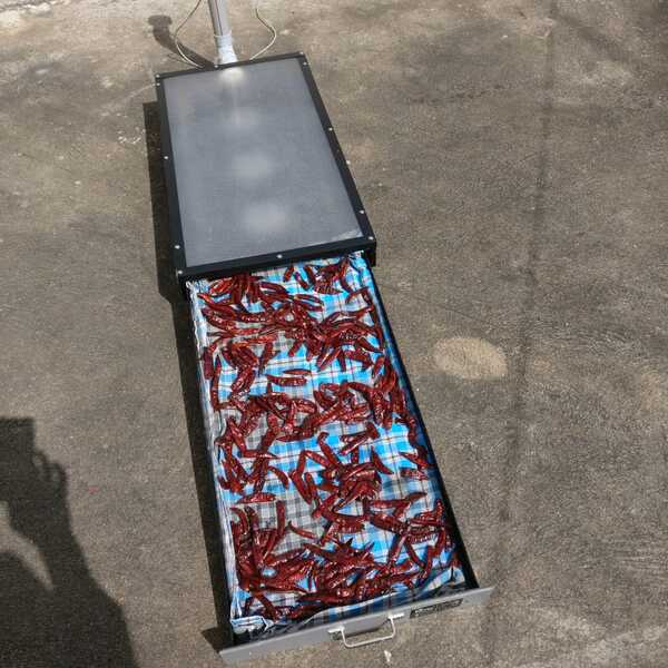 Fruits are favorite and best source of natural In gradients and source of energy. Some fruits are available in its season only,and have very small life span if it is not harvested it wasted. Solar Fruit Dryers are on of the best Solution for Harvesting your favorite fruits, when you have this available in its season and you can take the same taste and same nutrients all over the year. This dryers are specially designed to keep the fruit nutrition value, taste, flavor, color, aroma, intact. also the engineered cabinet allows no rusting, no insect, no bugs go inside so it gives best drying results.