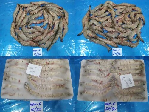 RAW FROZEN HEAD ON FLOWER BLOCK FROZEN SHRIMPS product image