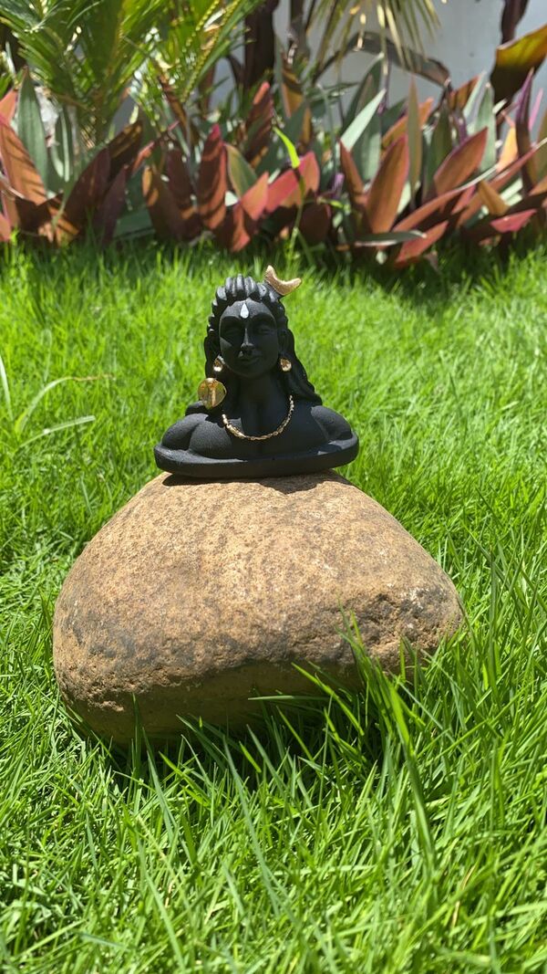 It is considered auspicious to put a picture of Gods and Goddesses in the house. A picture of Shiva must be placed at home. At the same time, it should be kept in mind that do not put such a picture of Shiva in the house, in which he is in a state of anger or is wearing his form of rage.