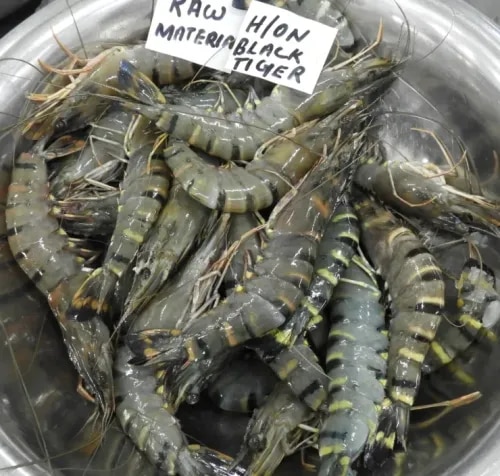 HEAD ON BLACK TIGER SHRIMPS & PRAWNS product image