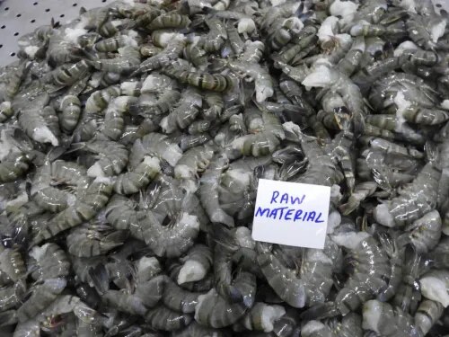 HEADLESS BLACK TIGER SHRIMPS & PRAWNS (BLOCK) product image