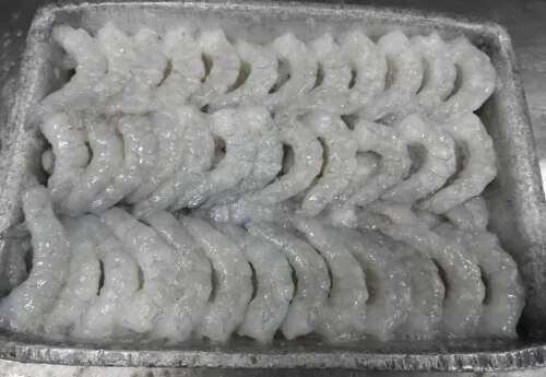 PD VANNAMEI SHRIMPS & PRAWNS product image