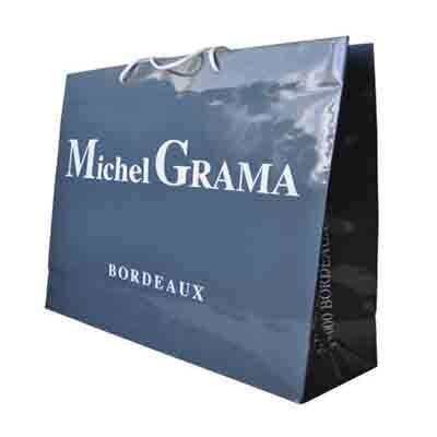 Printed Duplex Paper Shopping Bag