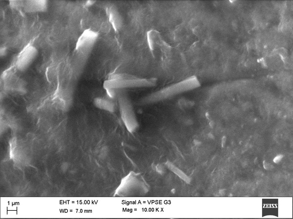 Azeedo Private Limited provides analysis for researchers doing research on microbes, Nano-particles, nanomaterials, and composite materials, which involves the generation of high-resolution images for the identification of phases based on qualitative chemical and crystalline structures.