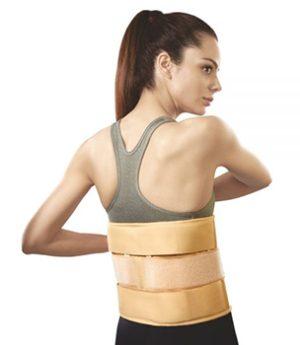 Eco Frame Back Support