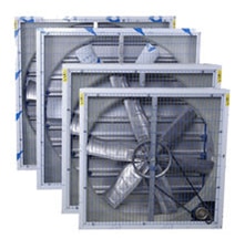 Exhaust Fan , Poultry Exhaust Fan, Greenhouse Exhaust Fan move and refresh the stagnant air in your greenhouse or building to create a healthier and more productive. We are among the reputed names in the industry for manufacturing  Greenhouse Fan. It is remarkable in terms of performance and made in compliance with the latest market trends. This fan provides ventilation in green houses.                                                                                                                                                                                                                                                                                                         The offered fan is made from high grade metal sourced from our reliable vendor base and is resistant to corrosion. It is effective in providing ventilation in green houses and expels stagnant air for maintaining ideal environment. This fan is resistant to abrasion and can be supplied in bulk quantities.Features:Ideal for ventilation in green housesSturdy constructionEasy to operateSizes 900mm to 1250mmLow NoiseGood airflow