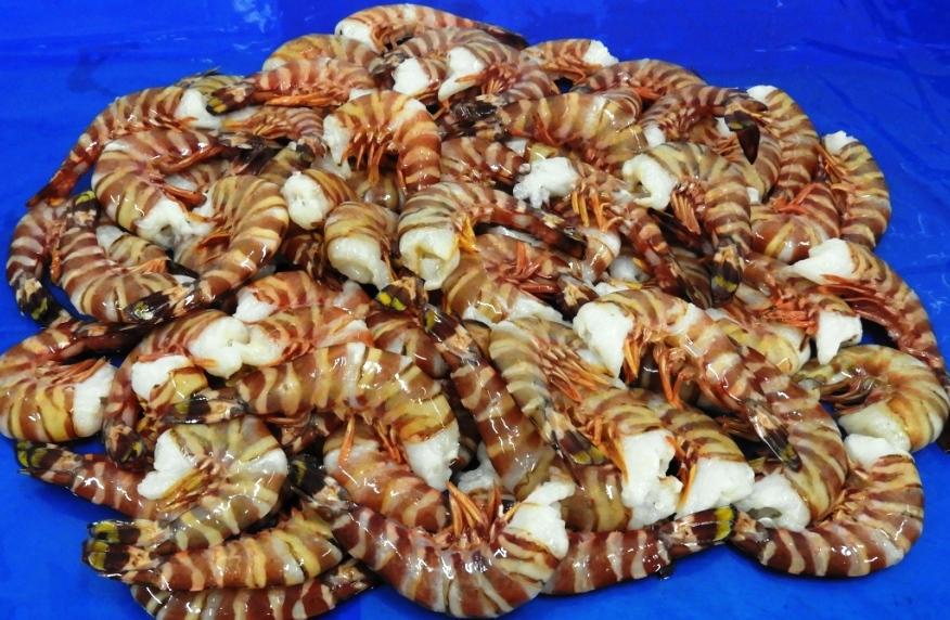 HEADLESS SEA TIGER SHRIMPS & PRAWNS (BLOCK) K V Marine Exports, Chennai