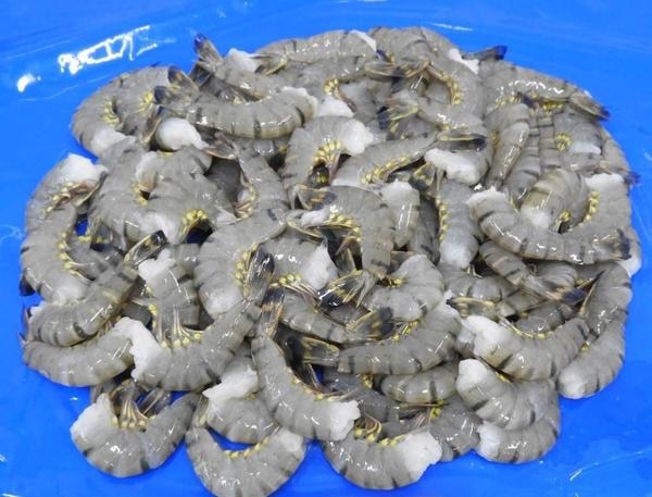 Headless Black Tiger Shrimps & Prawns product image