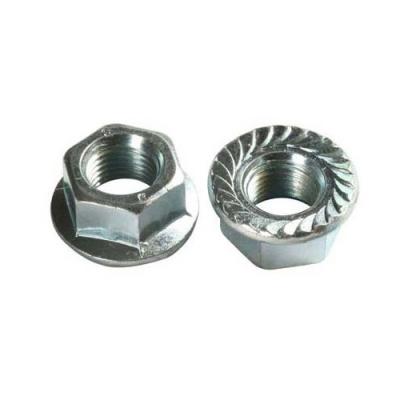 Hex Flange Nuts
