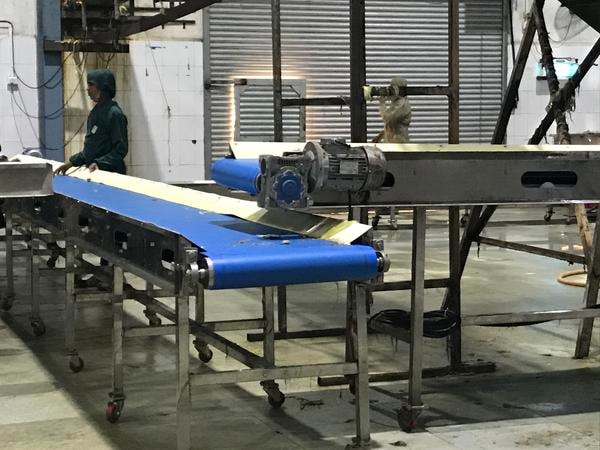 Anton Stainless Steel ConveyorGet Latest PriceWe are regarded as the noteworthy manufacturer, exporter and supplier of an extensive gamut of Stainless Steel Conveyors System. The offered Stainless Steel Conveyors is thoroughly tested on numerous quality parameters and is broadly demanded in various industries. Provided Stainless Steel Conveyors is manufactured by using premium quality material and the latest technology in line with defined quality standard. Especially designed this Stainless Steel Conveyor is made available in the global market at a most competitive price.