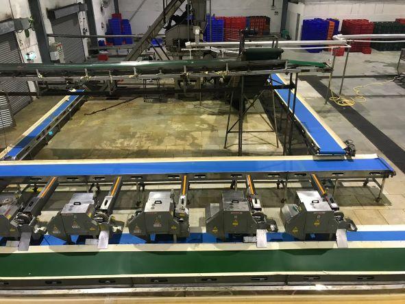 Anton Food Handling Conveyor SystemRs 30,000 / pieceGet Latest PriceOwing to the presence of our expert team members, we are engaged in catering a wide range of Processing Conveyor under our product range. We assured our clients that our Processing Conveyor has high strength, excellent quality and well tested on different quality parameters. Its hassle free operations and superior designing make this product highly popular and demanded in market. To meet the specific requirements of our clients, our product is available with unique features.