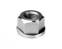 Stainless Steel Flange Nuts