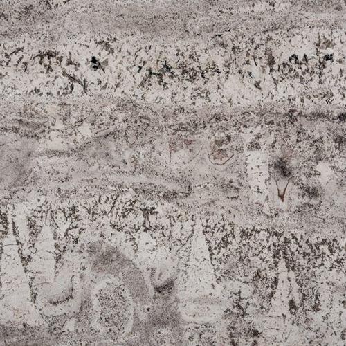 Alaska white granite is a frosty blend of pale silver and frosty whites marked by the warm neutrals and onyx hues. Its natural colour provides a nice light and modern feel to any interior space it has been incorporated into. This shiny yeh durable stone is available in various sizes which makes it perfect for multipurpose uses. This granite stone can be used for creating stunning countertops, backsplashes, accent walls, floors and other architectural features for both indoor as well as outdoor spaces.