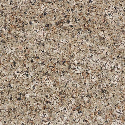 French Brown Granite is a kind of golden-brown granite quarried in India. We are renowned Suppliers of French Brown Granite. Our commitment towards timely delivery of quality granites has established us as one of the preferred Exporters of French Brown Granites. This stone is especially good for Exterior – Interior wall and floor applications, monuments, countertops, mosaic, fountains, pool and wall coping and other design projects. French Brown Granite worktops have become an in-demand choice for the kitchen and workspace.