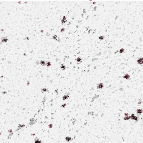 River White Granite from India is a White, grey coloured slab with a polished, leathered or honed finish. River white granite is in high demand due to its inherent beauty. Because of this, it is priced as a mid-range granite. Each slab of this beautiful white granite looks completely unique in its appearance and natural design.