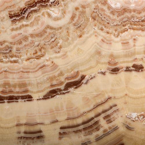 Product	         Walnut OnyxSlab Sizes	CUTTER SLABS, GANGSAW SLABSCut Sizes	30 cm X 30 cm, 30 cm X 60 cm, 60 cm X 60 cm, 60 cm X 120 cm & Customized Sizes also AvailableThickness	20 mm, 30 mm, 40 mm, 50 mm, 60 mm, 70 mm AvailableFinishes	Leather, Flamed, Brushed, Polished, Honed, LapaturaApplications	Counter/Vanity Top, Flooring, Cladding, Marble Handicrafts, Swimming Pool Areas, Bathroom Walls & Floors, Fireplace Walls, External & Internal Aids In Construction